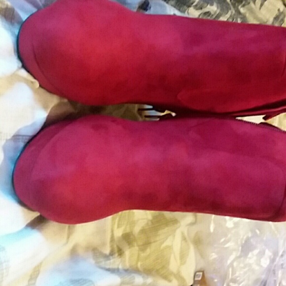 Cattails - Picture 2 of 5